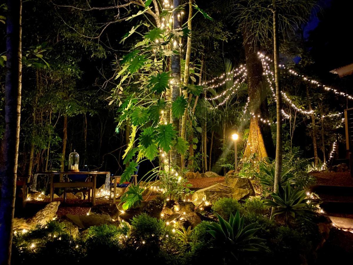 Cairns Rainforest Retreat Exteriér fotografie