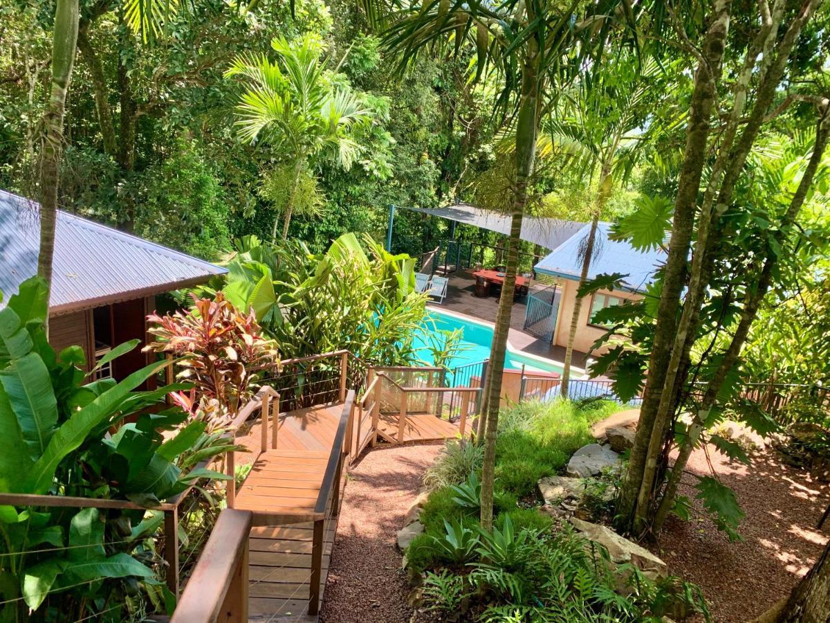 Cairns Rainforest Retreat Exteriér fotografie