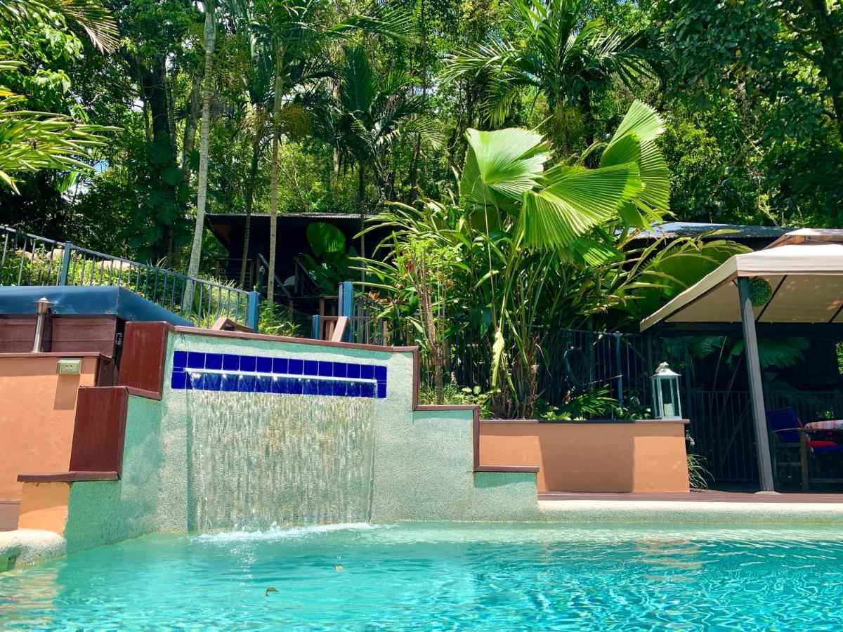 Cairns Rainforest Retreat Exteriér fotografie