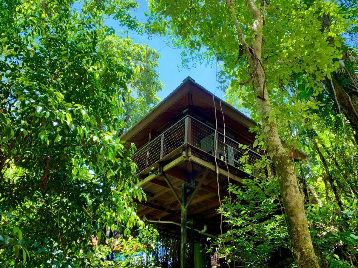 Cairns Rainforest Retreat Exteriér fotografie