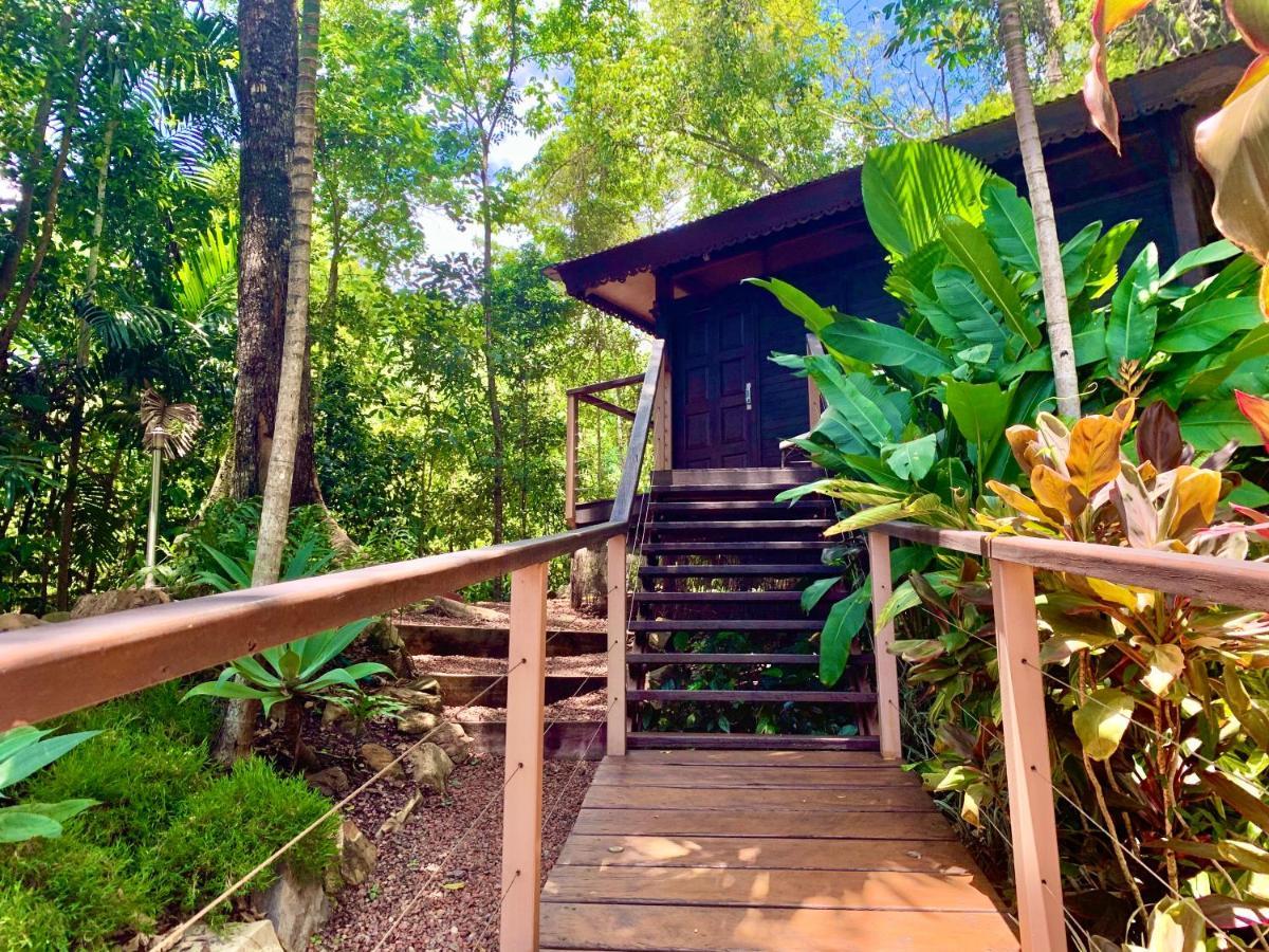 Cairns Rainforest Retreat Exteriér fotografie
