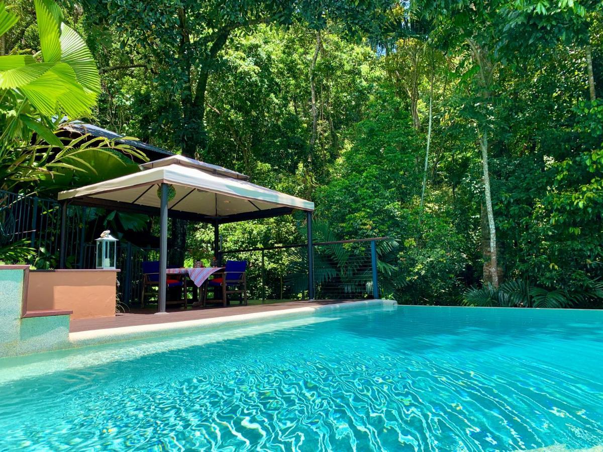 Cairns Rainforest Retreat Exteriér fotografie