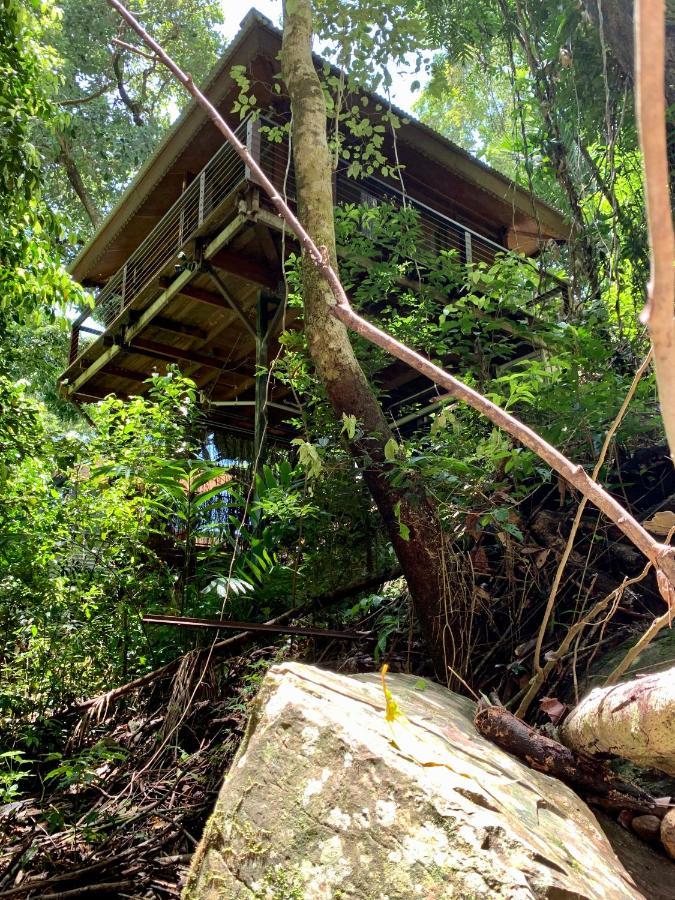 Cairns Rainforest Retreat Exteriér fotografie