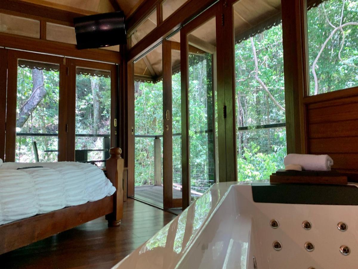 Cairns Rainforest Retreat Exteriér fotografie