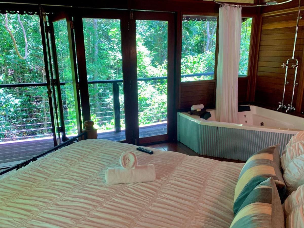 Cairns Rainforest Retreat Exteriér fotografie