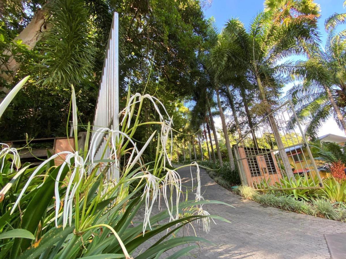 Cairns Rainforest Retreat Exteriér fotografie